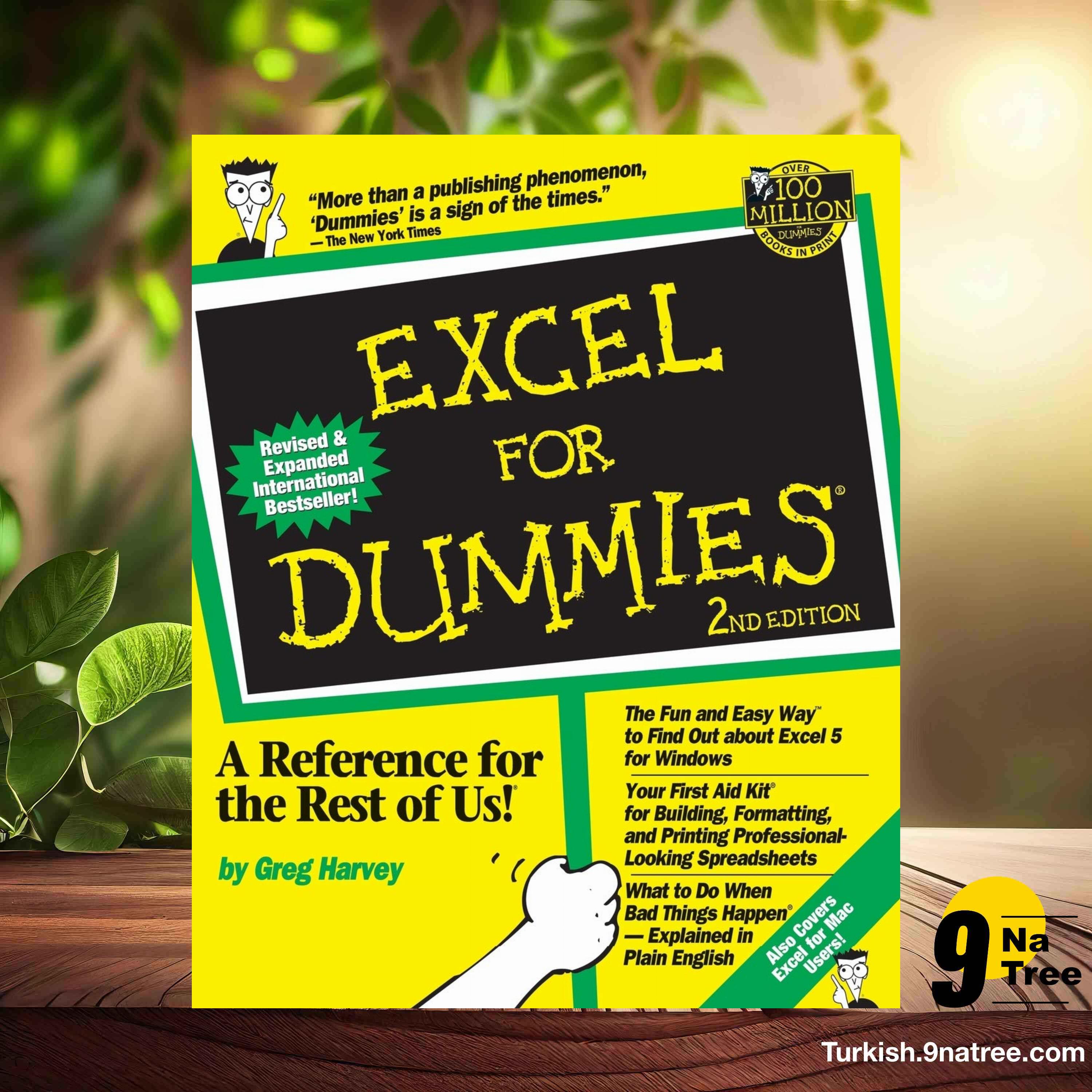 [İncelemesi] Excel For Dummies, 2nd Edition: 2nd Edition  (Greg Harvey) Özeti. episode artwork